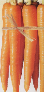 Automatic Carrot Peeler